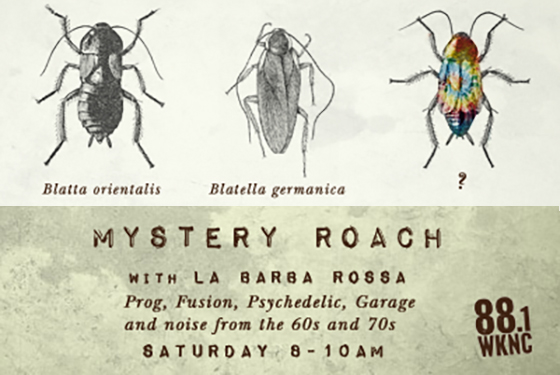 Mystery Roach Saturdays at 8 a.m.